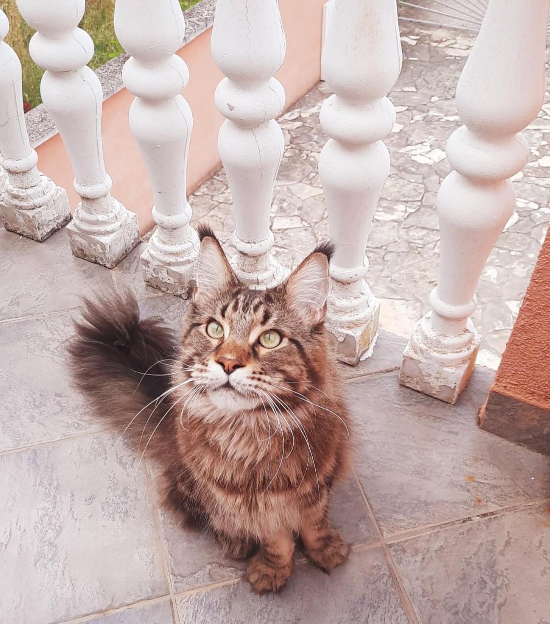 Appartamento Waimarie Fažana Esterno foto