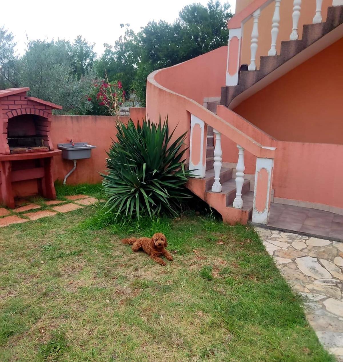Appartamento Waimarie Fažana Esterno foto